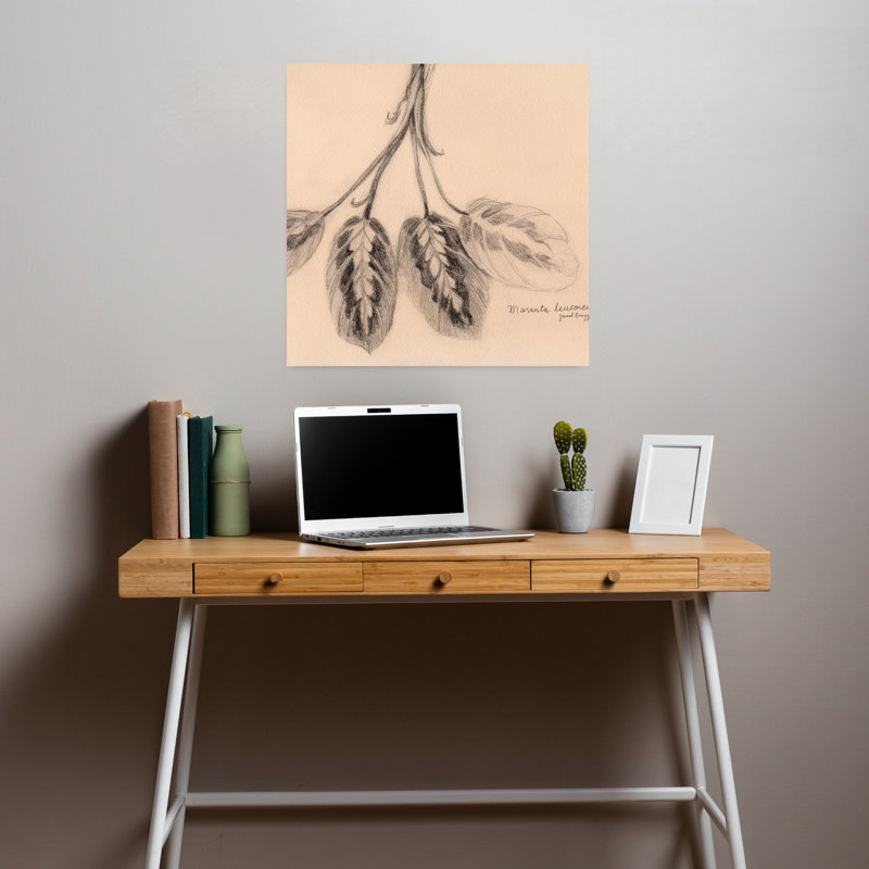 Contemporary Art Realistic Contemporary Plant Wall Art, 18" H x 18" W