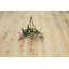 E400 Plank Oak Hardwood Flooring