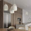 - Light Pendant