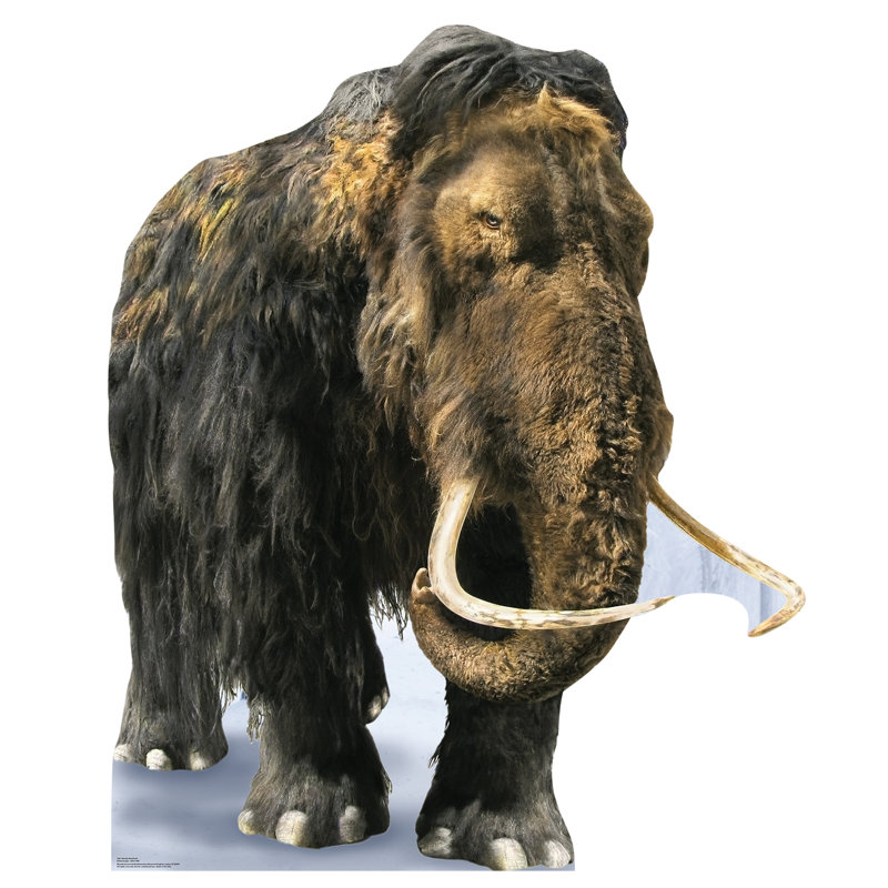 Life-Size Woolly Mammoth Cardboard Cutout Standee
