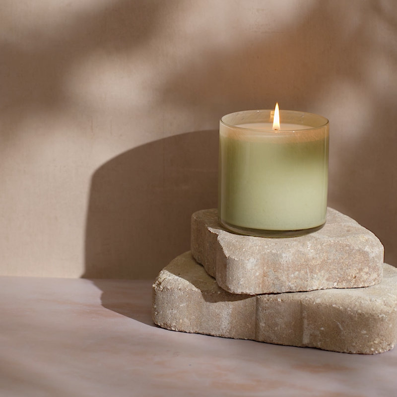 Wild Honeysuckle Classic Candle, 6.5 oz