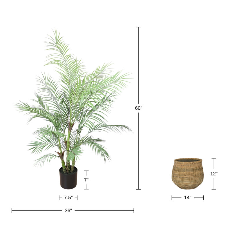 Palmiers d'extérieur avec ciments en bambou recouverts de bambou, H 60 po x l 36 po x P 36 po