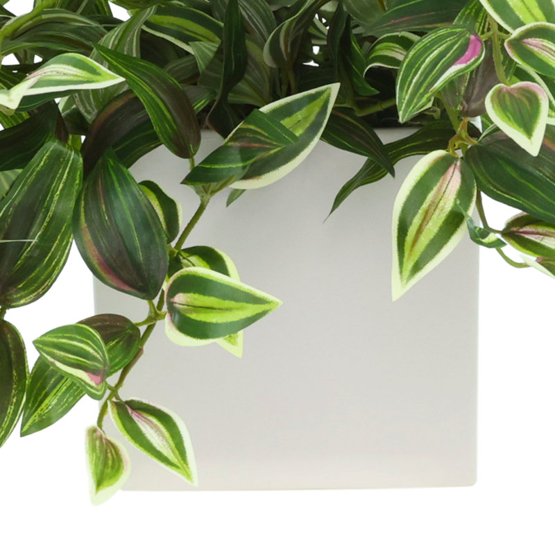 Tradescantia Zebrina Arranged In Ceramic Vase, Green, 14"H x 26"W x 20"D