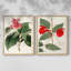 FloraOfTheTropicsI-Premium Framed Print -Ready to Hang - No Nails Required - No Nails Required-1495708584-1495708585