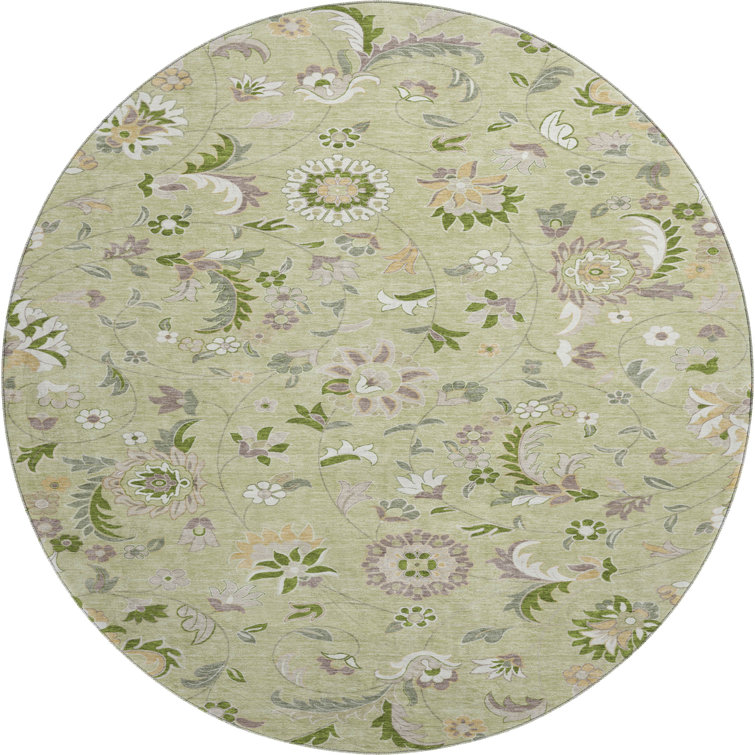Premium Machine Washable Goulven AMF1006 Floral Rug