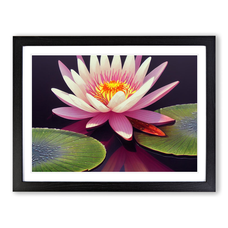 Charming Water Lily Flower - Single Picture Frame Painting, Black, 46cm H x 64cm W x 2cm D