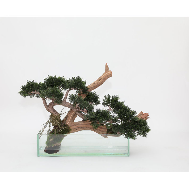 16'' Faux Cedar Tree in Glass Vase