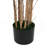 Artificial Bamboo With Black Plastic Pot-640693326-640693315