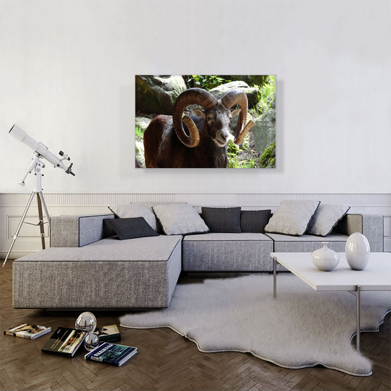 " Ram Zoo Decor ", 26" H x 40" W x 0.75" D