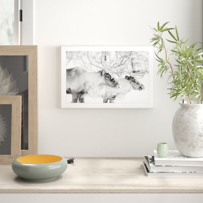 Single Picture Frame Painting