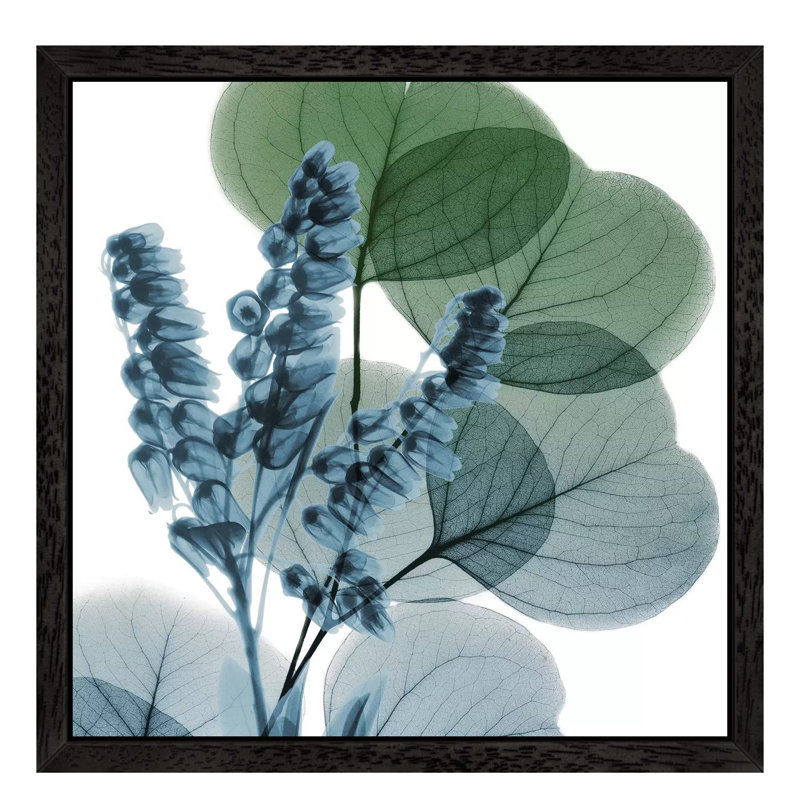 Lilly Of Eucalyptus I by Albert Koetsier - Floater Frame Print on Canvas, 93.98 cm H x 93.98 cm W, Black Framed