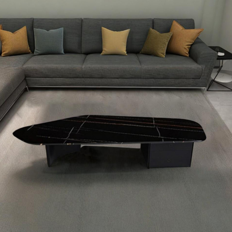 Irregular aesthetic coffee table, Black, 13.78" H x 55.12" L x 23.62" D