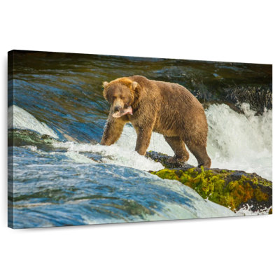 Brampt Fearless Grizzly Bear