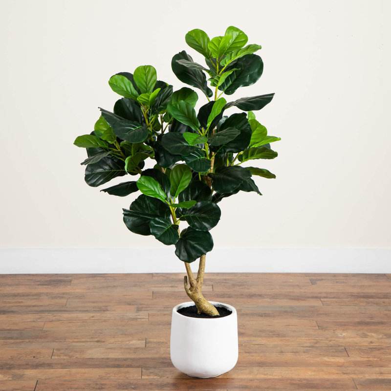 4 pi. Arbre artificiel luxuriant à feuilles violon avec pot de fleurs décoratif blanc