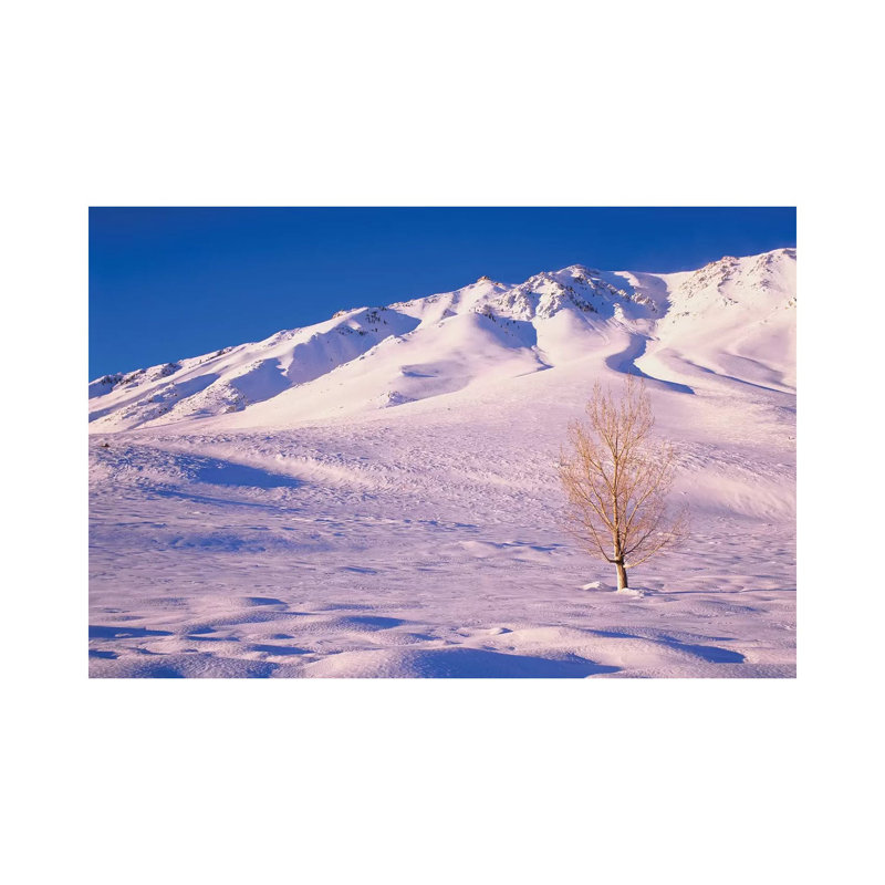 Long Valley. Lone Elm Tree On Snow-covered Hillside. by Jaynes Gallery - Wrapped Canvas Gallery-Wrapped Canvas Giclée
