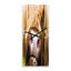 Horloge murale gros plan Highland-611295318