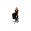 Fauteuil de direction 