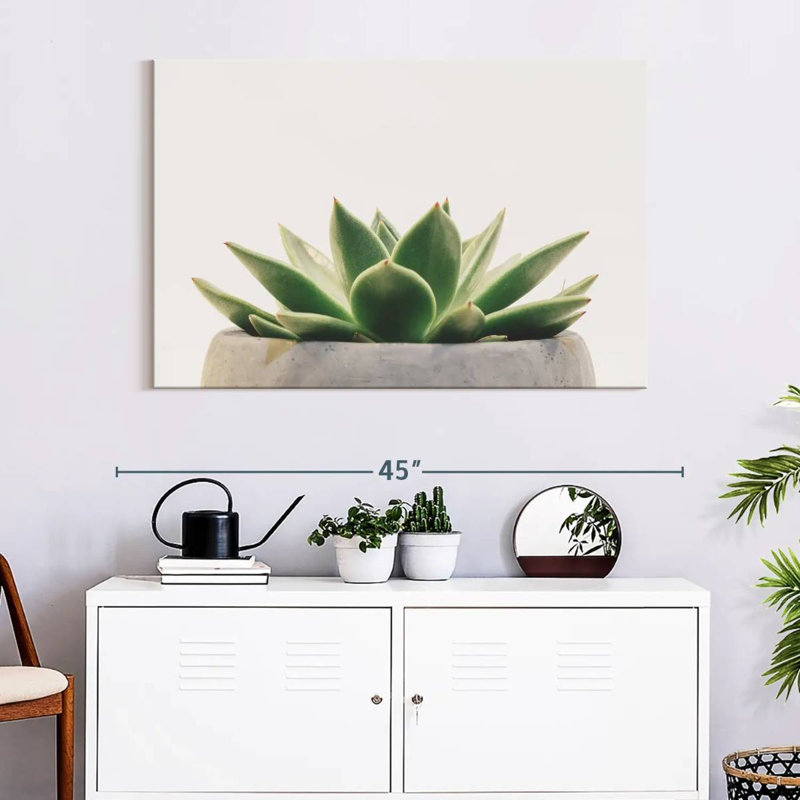 Harnek Stone Pot Succulent, 8" H x 12" W