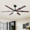 Vaczon 60" Smart Dimmable Ceiling Fan with 3CCT LED Lights, Remote and APP Control, 6-Speed Reversible DC Motor, Timer, Double-Sided Wood Blades, 6"/10" Downrods