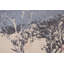 Tapis ivoire à motif abstrait nature moderne 5 x 7