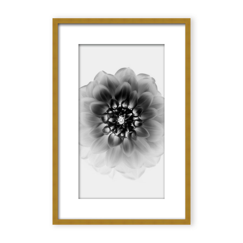 X-Ray Print by Alex Zhao, 24" H x 16" W x 1.125" D, Black, Framed Matted Print