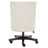 Chanab Polyester Blend Task Chair