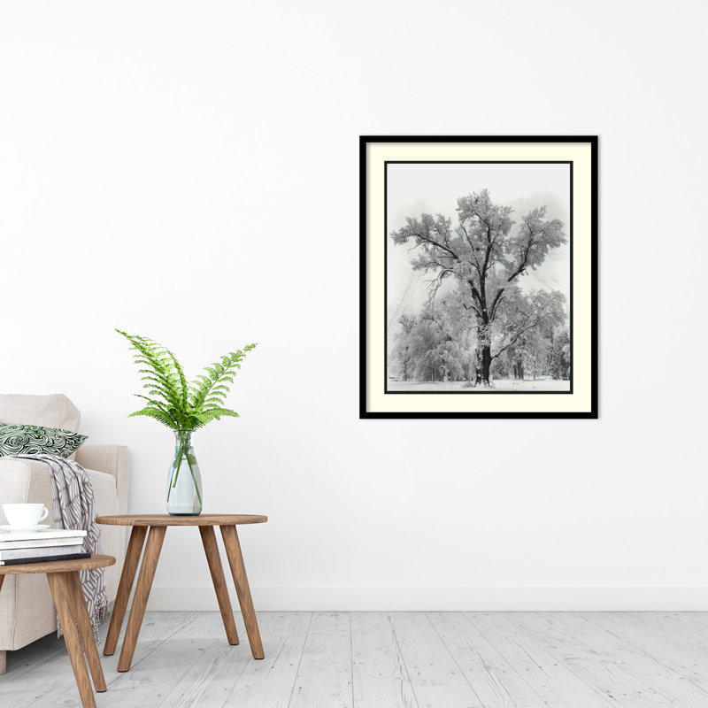 Black and White Framed Landscape Print, 27 x 32 inches