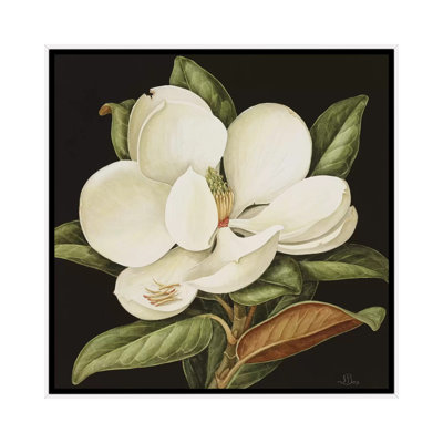 " Magnolia Grandiflora, 2003 " by Jenny Barron Painting Print