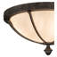 Pastoria 3 - Light Flush Mount