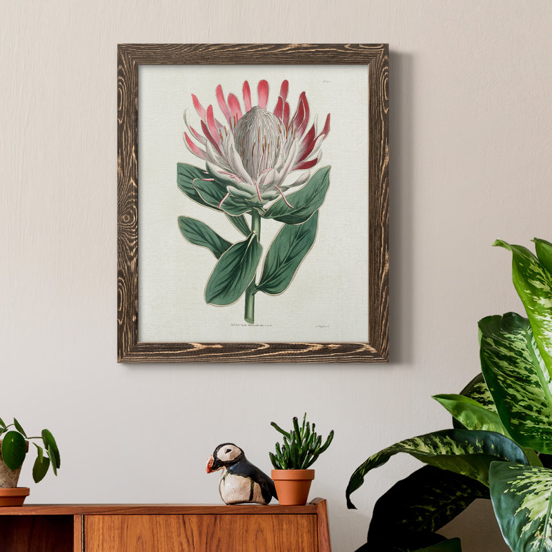Protea N13 - Peinture sur toile encadrée, H 20 po x l 17 po x P 1,5 po, Encadré de bois de noyer
