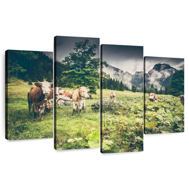 Brampt Cattle Of Tyrol