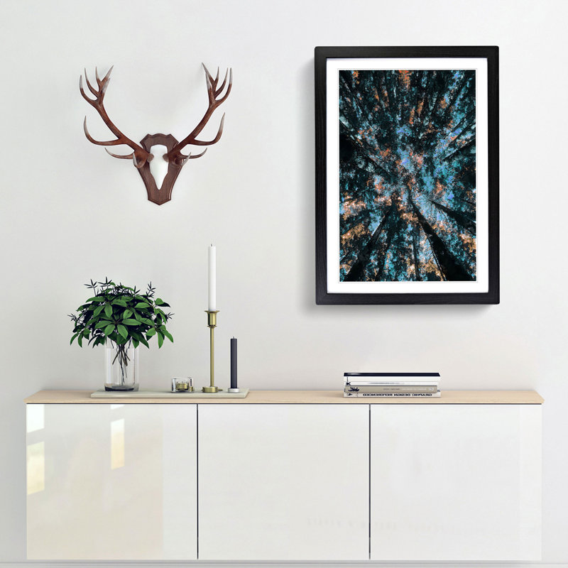 Redwood Forest California - Picture Frame Graphic Art Print, 48cm H x 36cm W x 2cm D, Black Framed