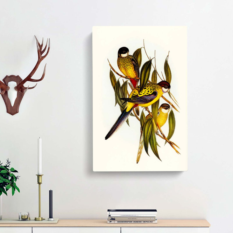 Brown's Parakeets by Elizabeth Gould - Wrapped Canvas Painting, 76cm H x 50cm W x 3cm D