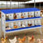 Boîtes de nidification en métal pour poules-10 boîtes de nidification pour poulets avec pattes de support pour œufs, boîtes de pondeuses murales pour poules et poulailler, bleu