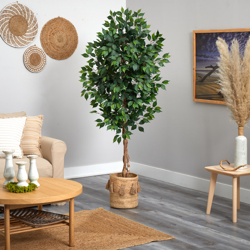 72'' Faux Ficus Tree in Burlap, Cotton Planter