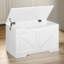 Pensiero Accent Wooden Storage Chest Box