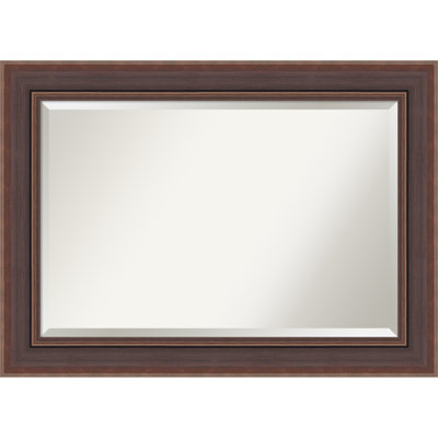 Moab Brown Bronze Beveled Framed Wall Mirror
