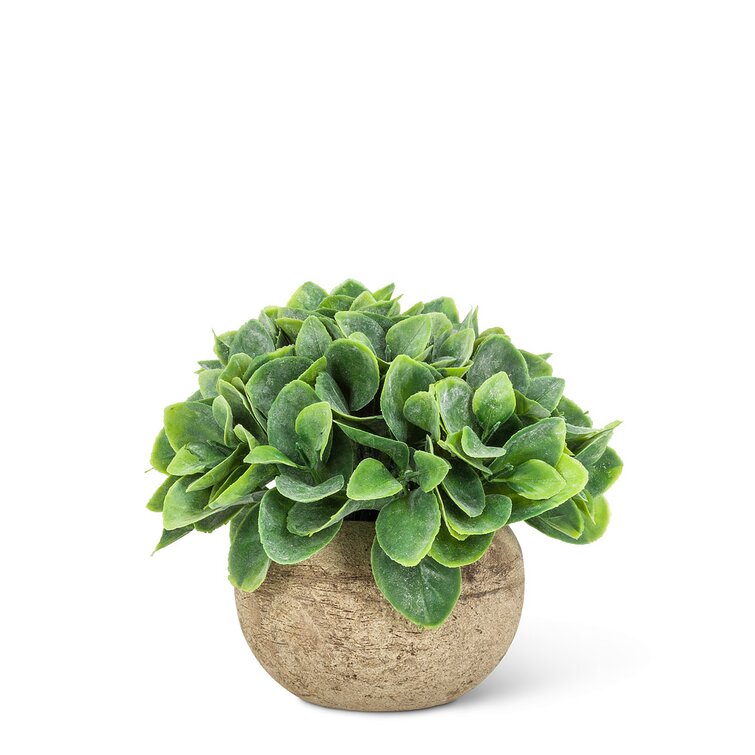 2 - Piece Artificial Foliage Plant in Planter Set Primrue