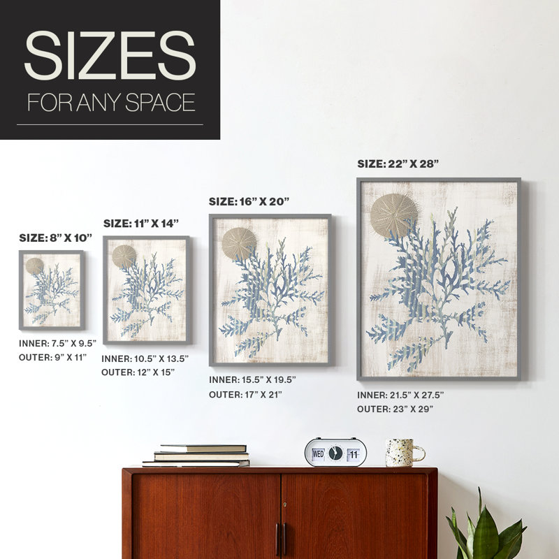 Reproduction encadrée de varech IV - bois massif, H 11 po x l 9 po, Gris