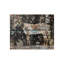Stallion De Constructed II Print by Chelsea Art Studio-26926191-26926192
