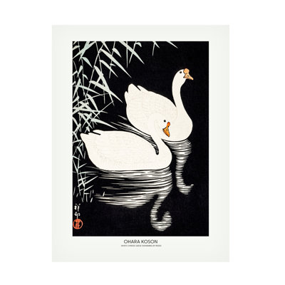 Oies blanches chinoises sur toile, images