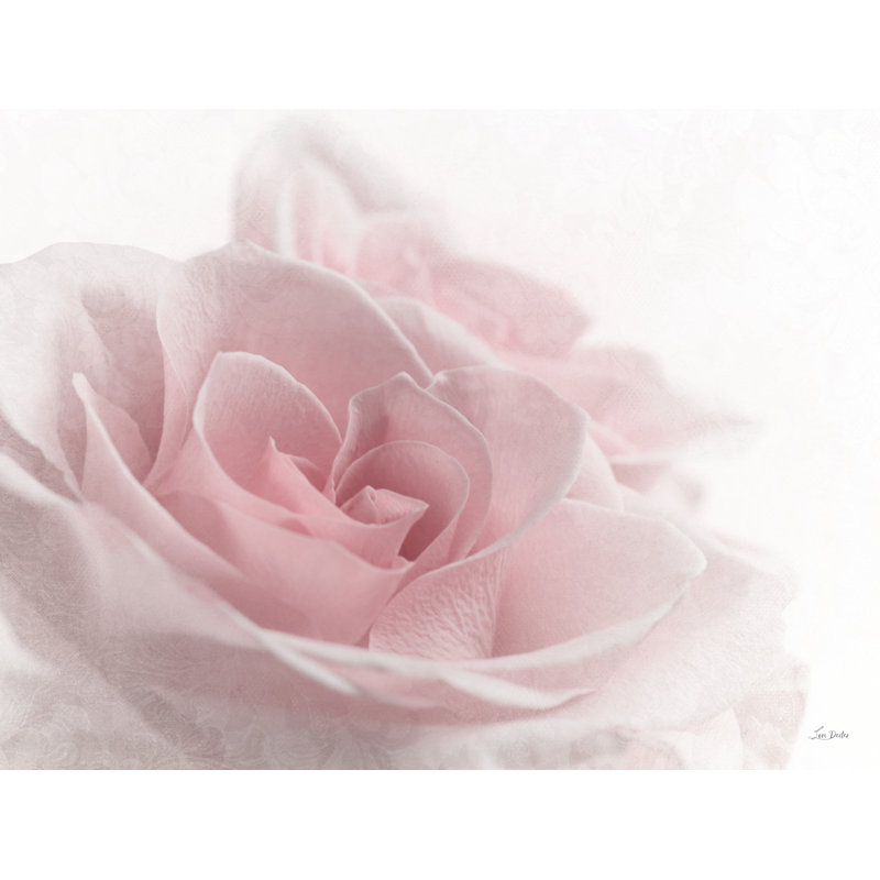 «Romantic Rose I» sur toile par Lori Deiter, H 20 po x l 30 po x P 1,25 po