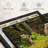 " Hunting Wolf Pack Wall Art "-789716771