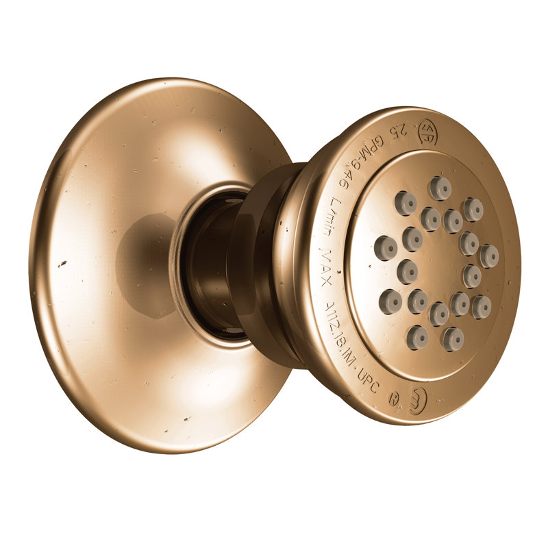 Moen® Single Function Body Spray, Antique Bronze