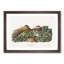 Least Shrew by J.W. Audubon - Picture Frame Painting Print-55581468-55581471