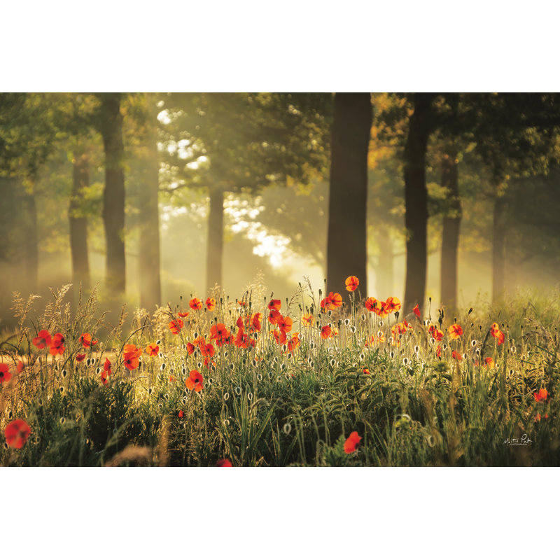 La forêt de coquelicots, H 8 po x l 12 po, Non, Cadre simple argenté