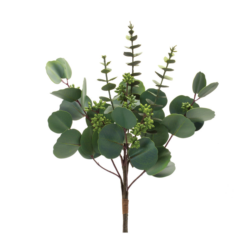 18,5 plante