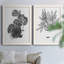 B and W d'intérieur plante III - ensemble de 2 reproductions d'art-1074236537-1074236536-1090214440