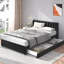 Aymon Upholstered Storage Bed-1529203074-1529203072