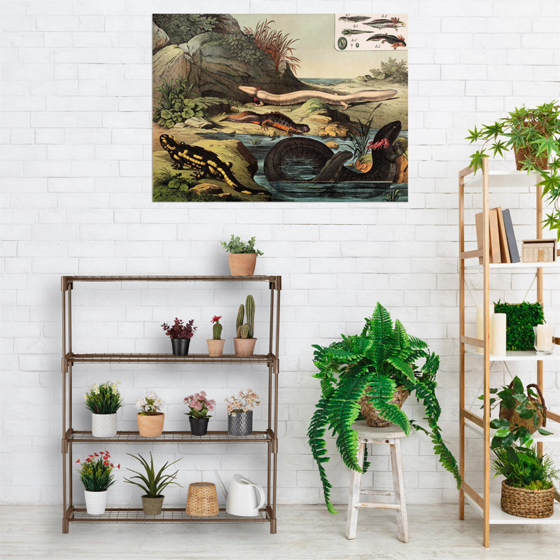 Plant Stand - Set of 10